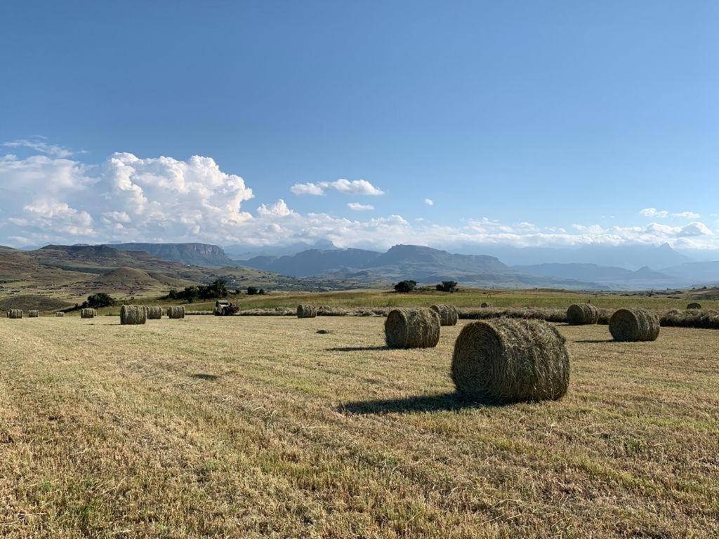 Kezlyn Farm Cottages Bergville Esterno foto