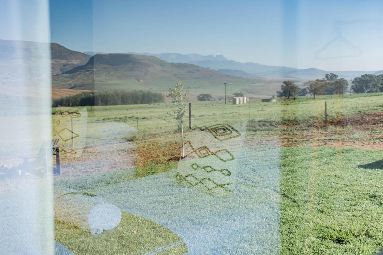 Kezlyn Farm Cottages Bergville Esterno foto