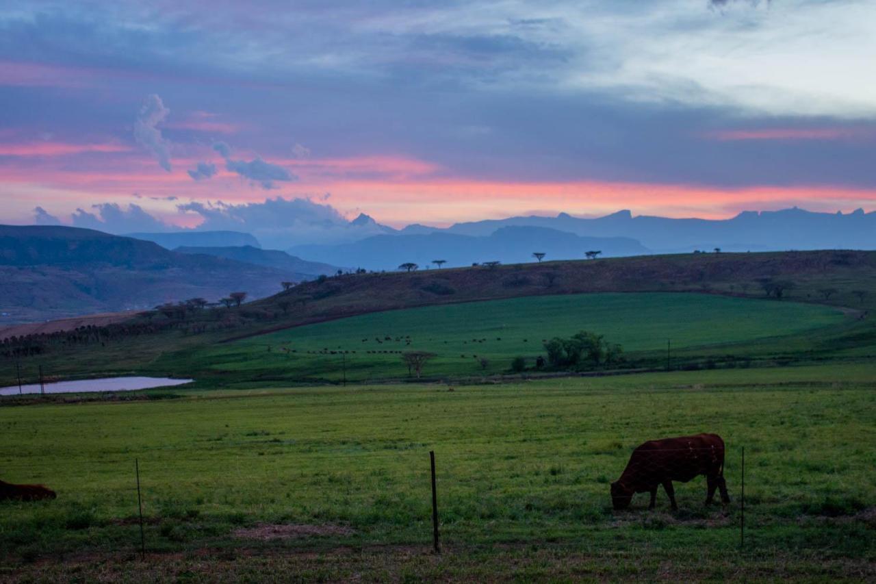 Kezlyn Farm Cottages Bergville Esterno foto